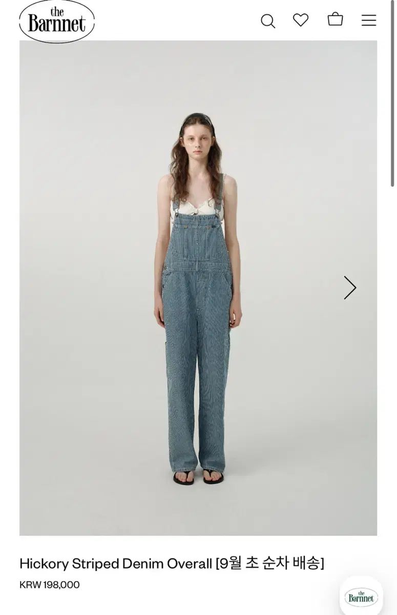 ザ バーネット ヒッコリース トライプ デニム オーバーオール