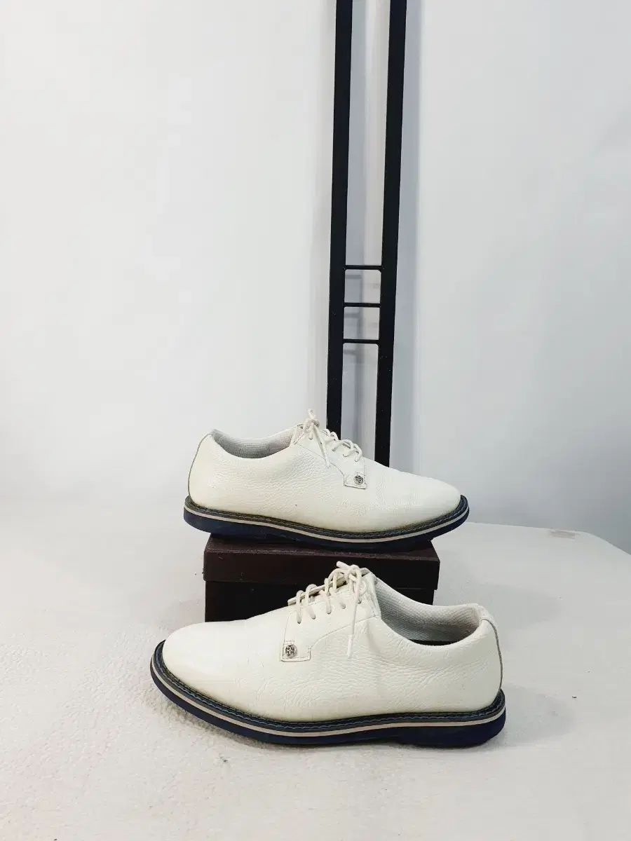 ジッポー ゴルフシューズ ギャリベンター 白 265