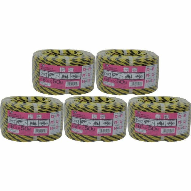 廃盤】大爆破 ('60米) 復刻シネマライブラリー [DVD] アラン・ラッド