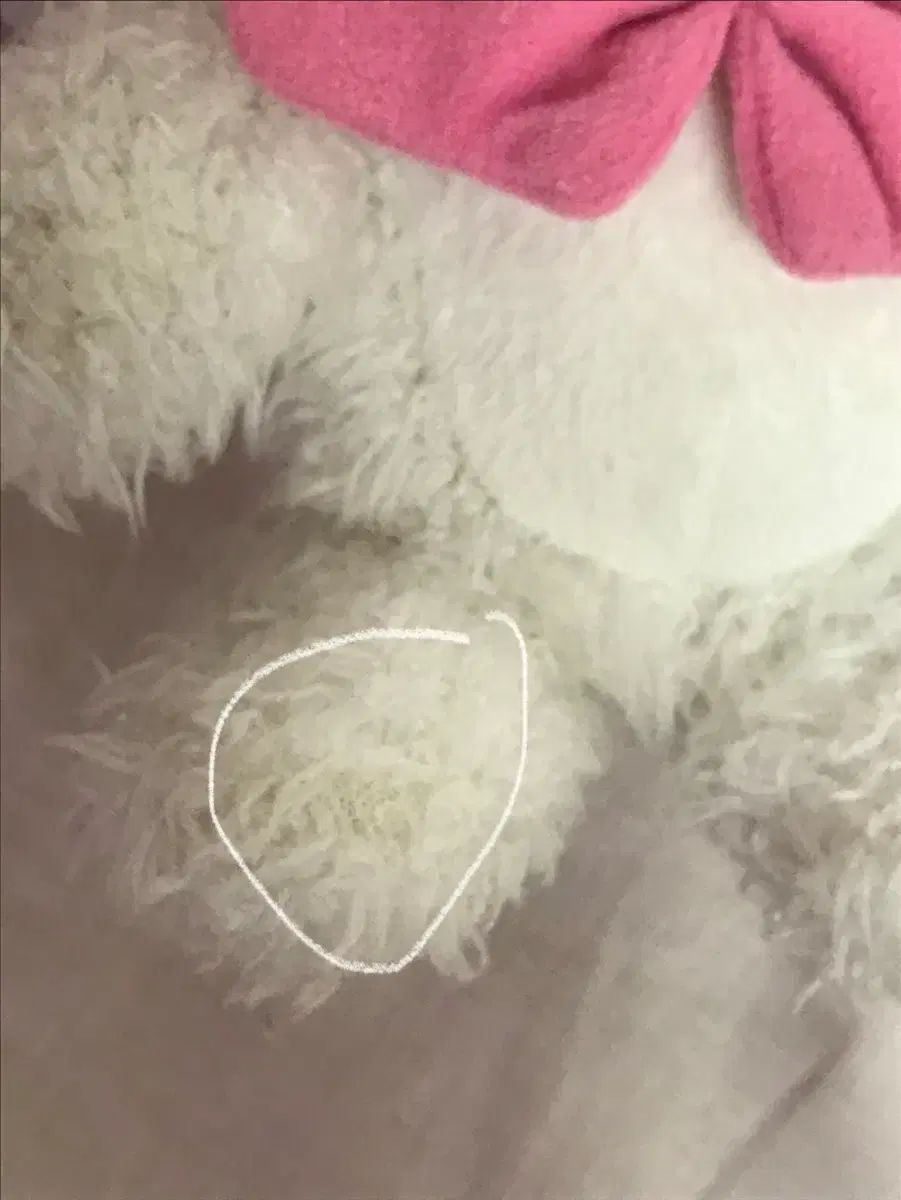 シュガーバニーズ シロウサ 関節ぬいぐるみ ブルータグ ゴー古典