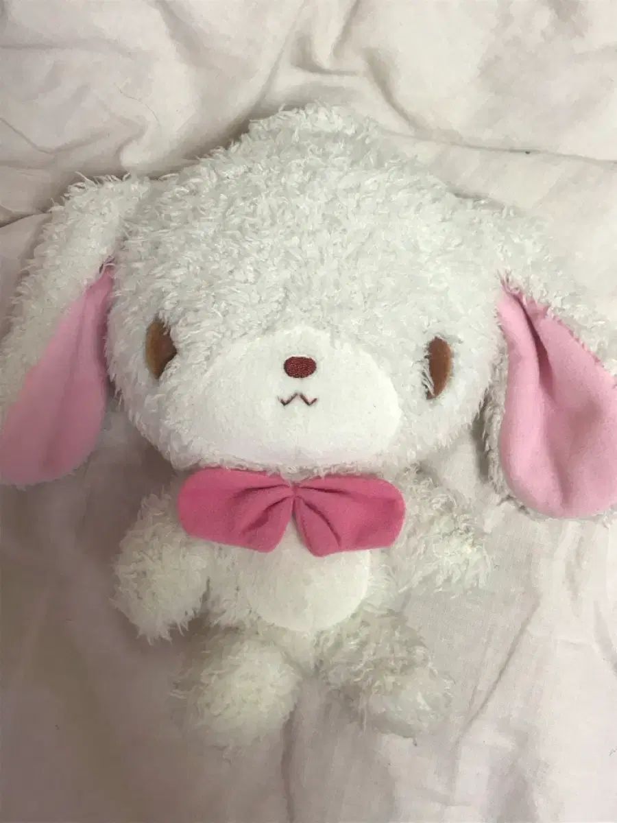 シュガーバニーズ シロウサ 関節ぬいぐるみ ブルータグ ゴー古典