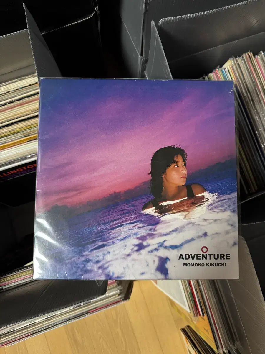 シティポップ Momoko Kikuchi 菊地 ももこ Adventure LP