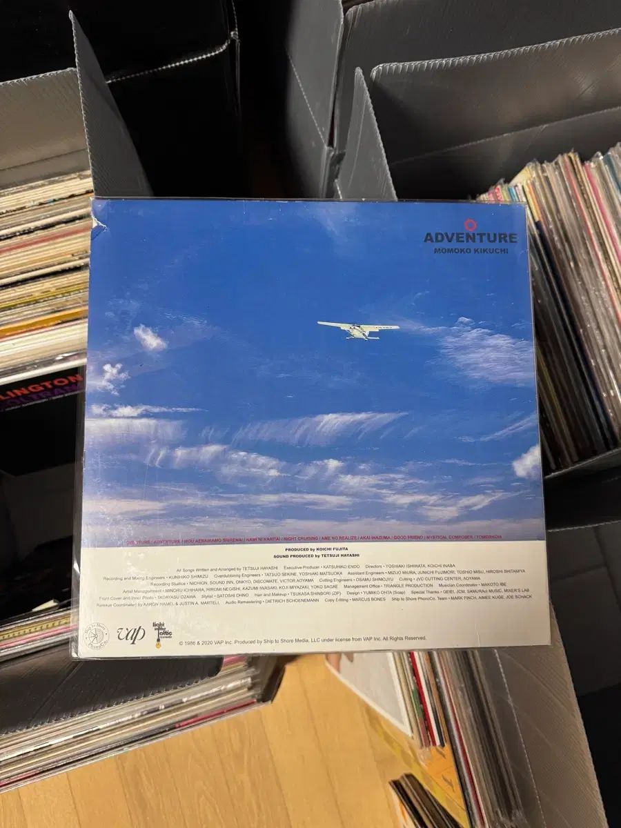 シティポップ Momoko Kikuchi 菊地 ももこ Adventure LP