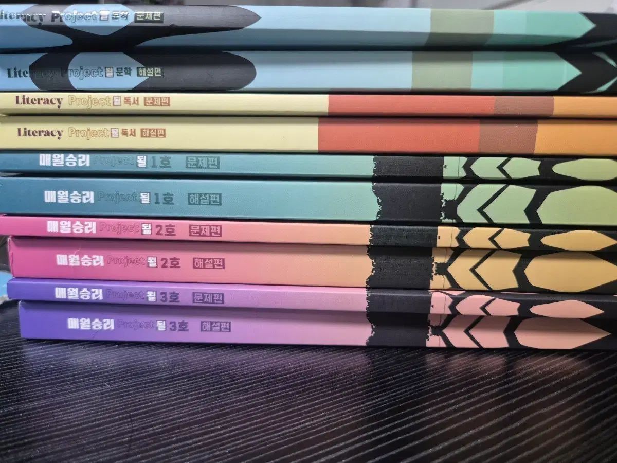 デソンマイメック キム スンリのプロジェクトになるオールインワン パッケージ 教材