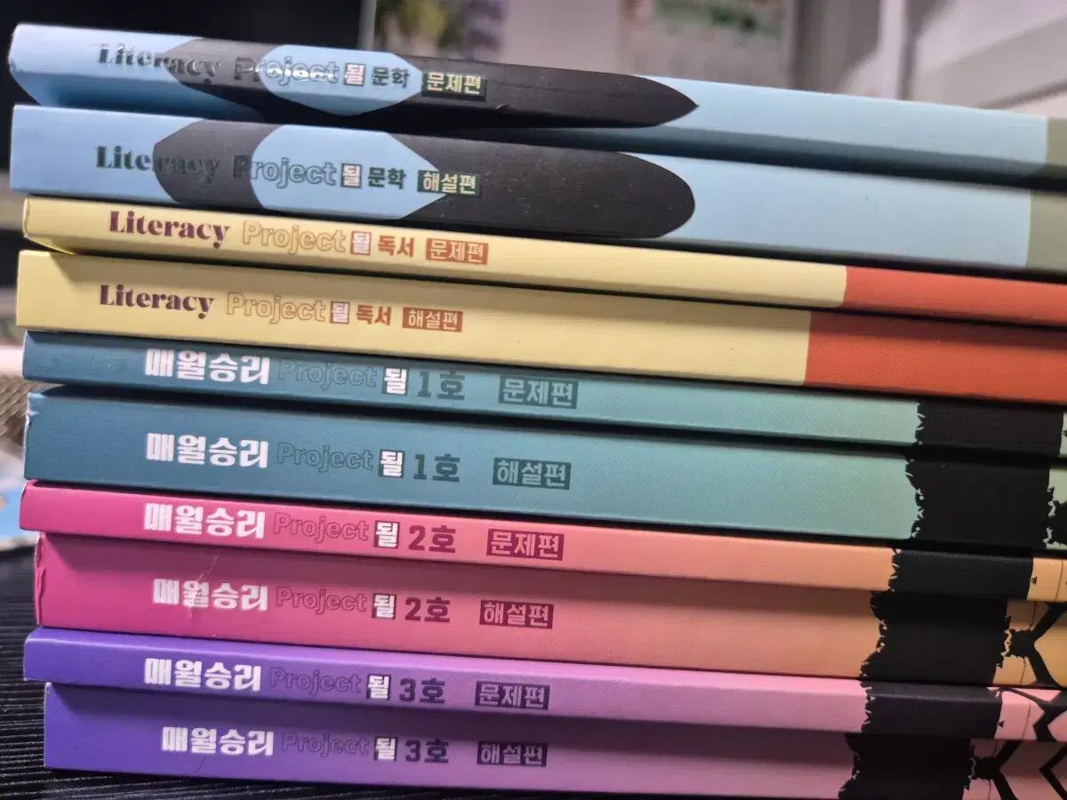 デソンマイメック キム スンリのプロジェクトになるオールインワン パッケージ 教材