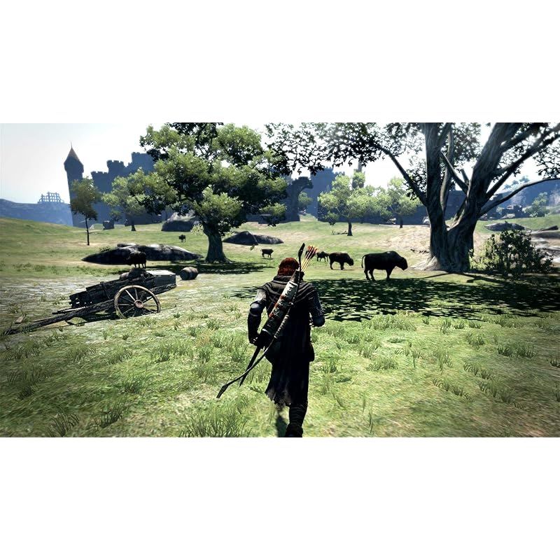 ドラゴンズドグマ ダークアリズン -Switch 0