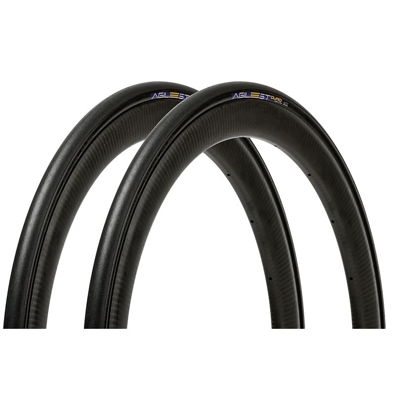 特別版】2本セット パナレーサー(Panaracer) アジリスト DURO 700×28C