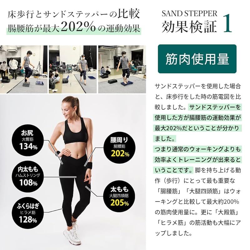 SANDSTEPPER【サンドステッパー】ステッパー 静音 軽量 コンパクト 座って 筋トレ ダイエット器具 健康器具 踏み台昇降 足踏み 歩行 砂 日本製 1 静音 SANDSTEPPERサンドステッパーステッパー : 美品サンドステッパー 軽量 SANDSTEPPER