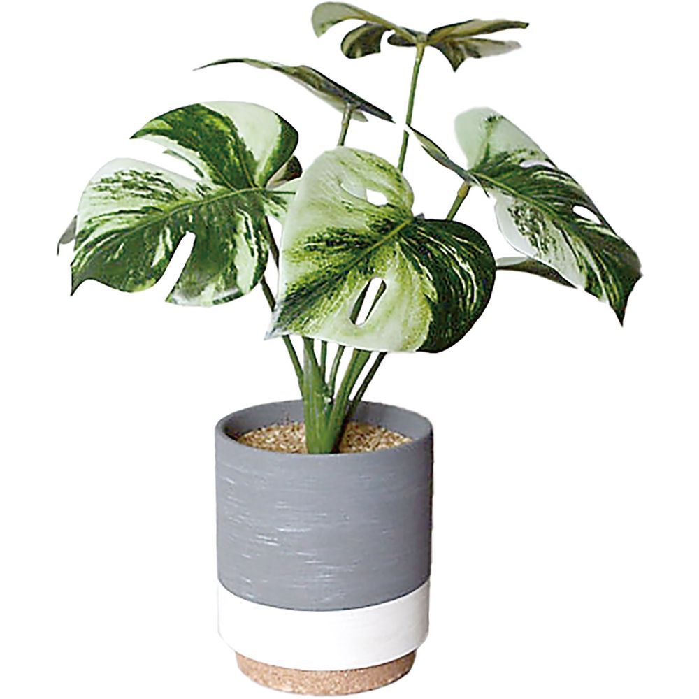 ☆ モンステラ.WH ☆ 光触媒 CMポット 光触媒 フェイクグリーン 観葉