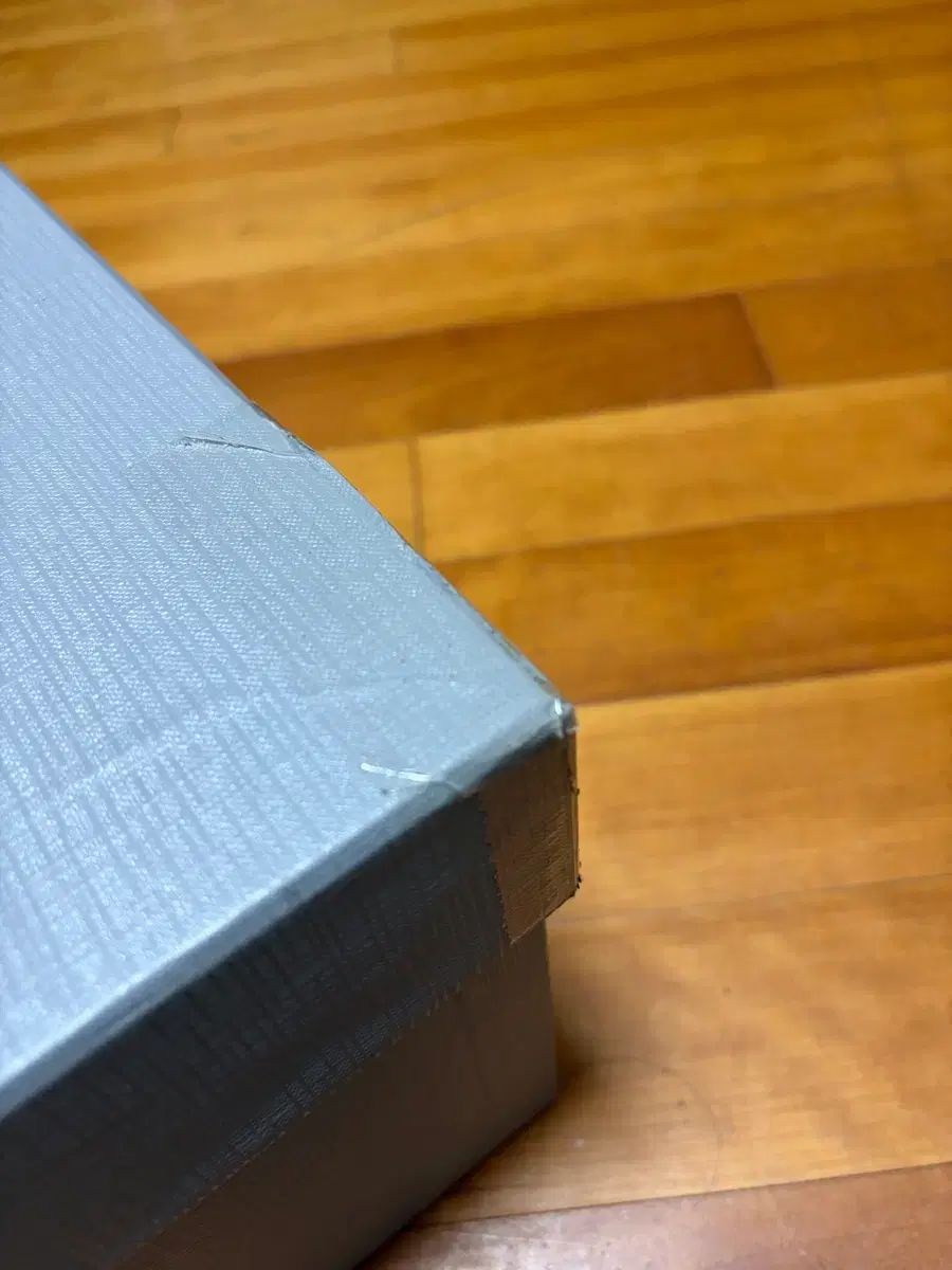 バレンシアガ ステロイド