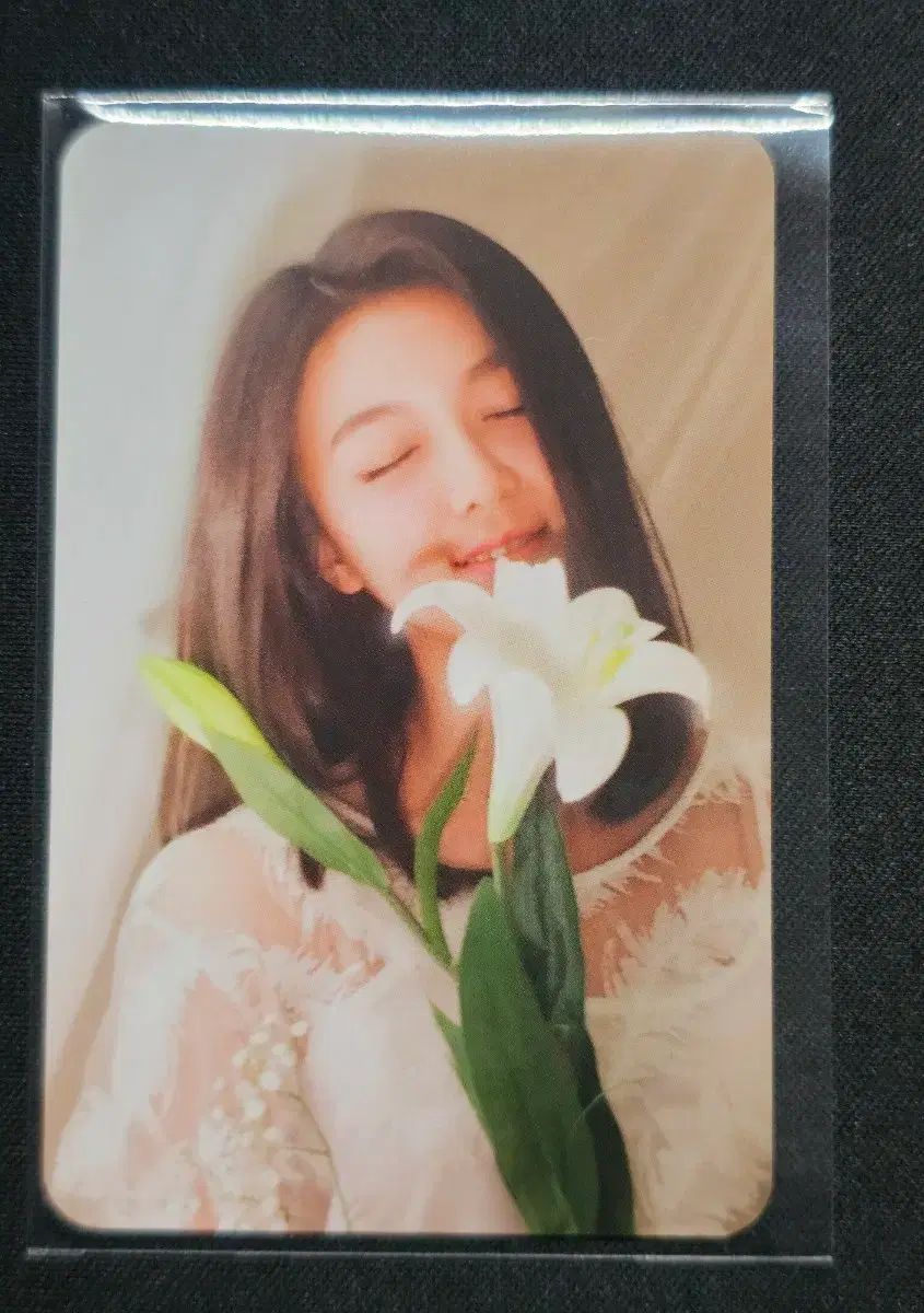 DREAMCATCHER(ドリームキャッチャー) ダミ 굿나잇 アルバム トレカ