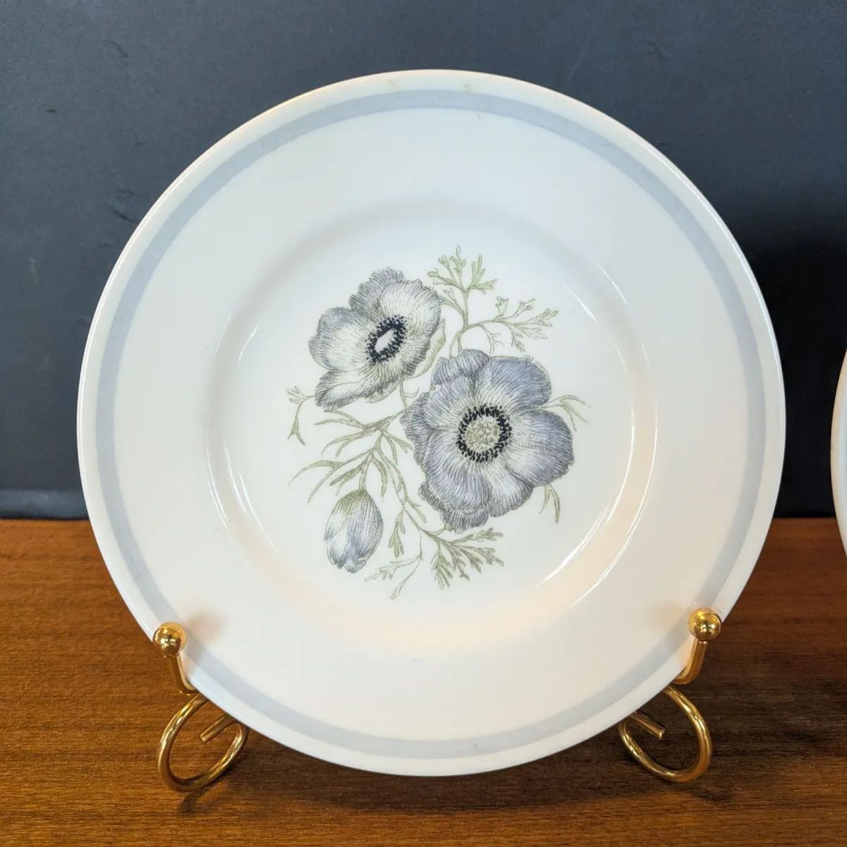 スージークーパー ウェッジウッド デミタスサイズ グレンミスト カップ