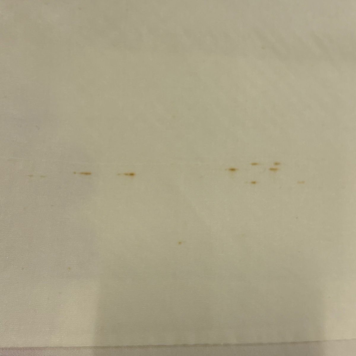  振袖 身丈160 5 cm 裄丈63 S 袷 花 クリーム 正絹 秀品 振袖 着物