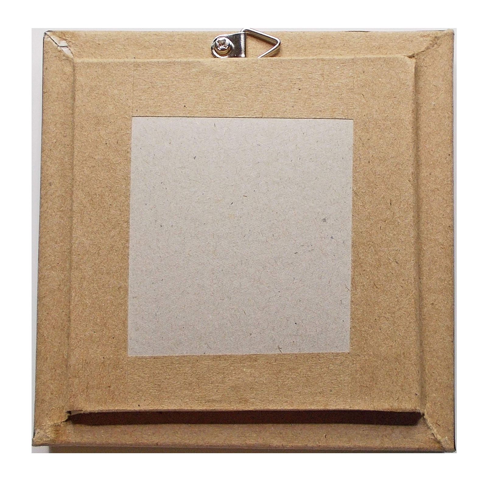  額入り 昆虫標本 蝶 コモン ジェイ ミカドアゲハ Common Jay 知育玩具 ベビー キッズおもちゃ