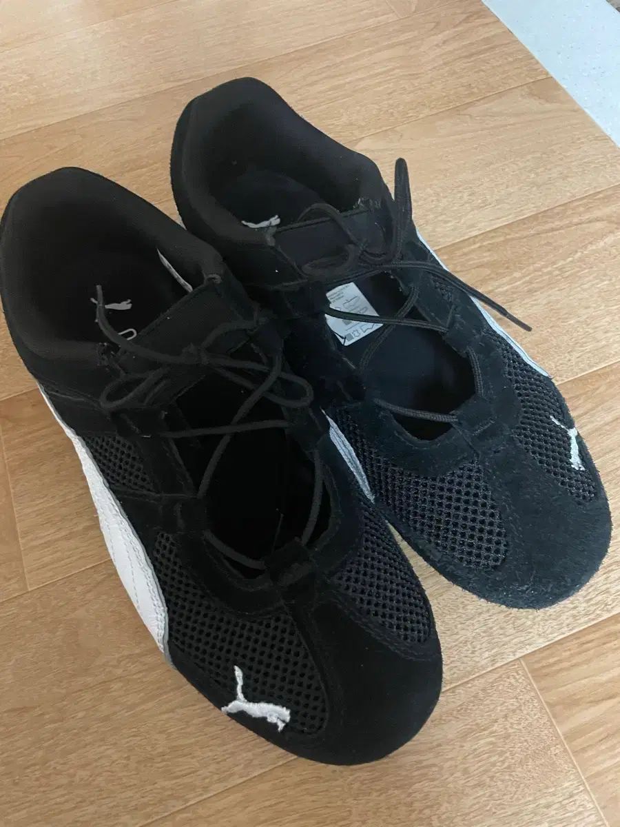 スピードキャット