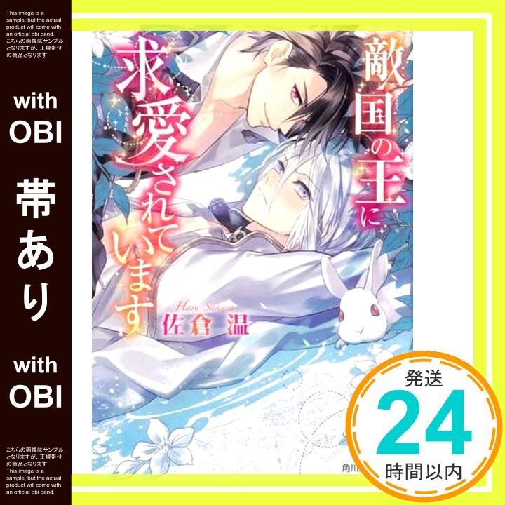 帯あり 敵国の王に求愛されています 角川ルビー文庫 佐倉 温 藤 未都也_07