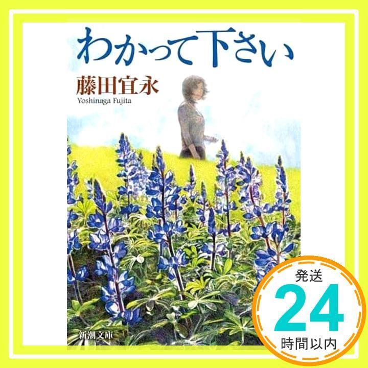 わかって下さい 新潮文庫 藤田 宜永_02