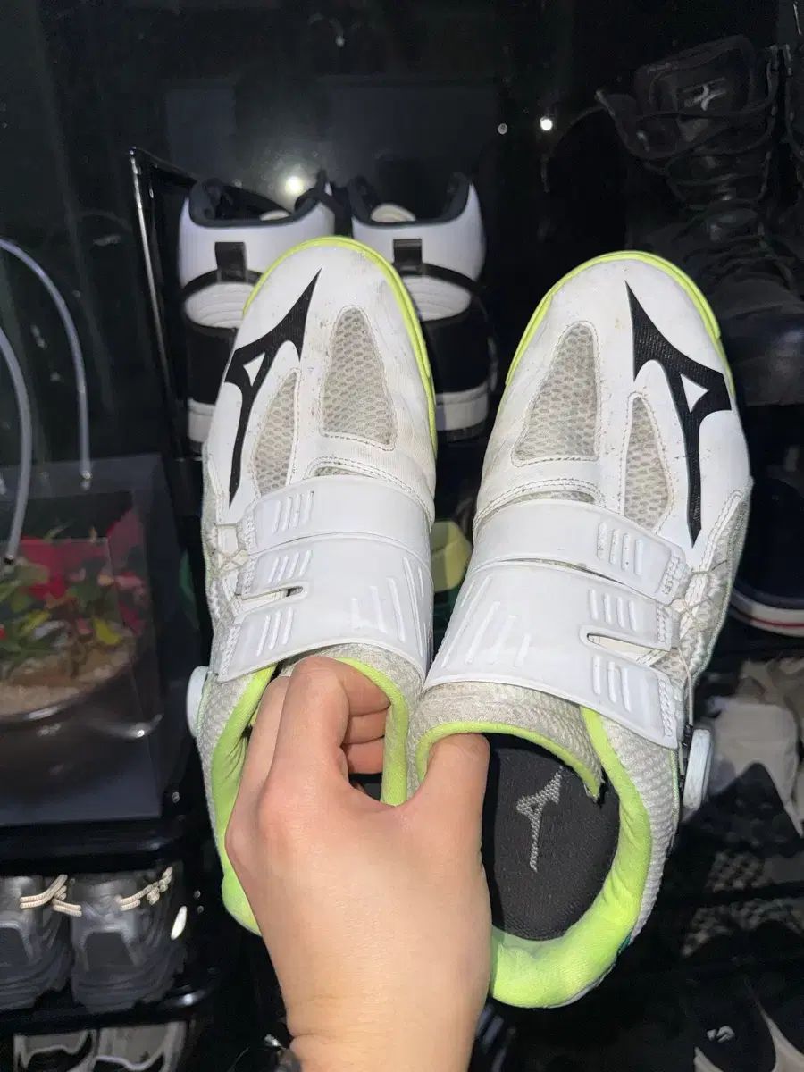  ミズノ BOA 卓球シューズ その他 卓球