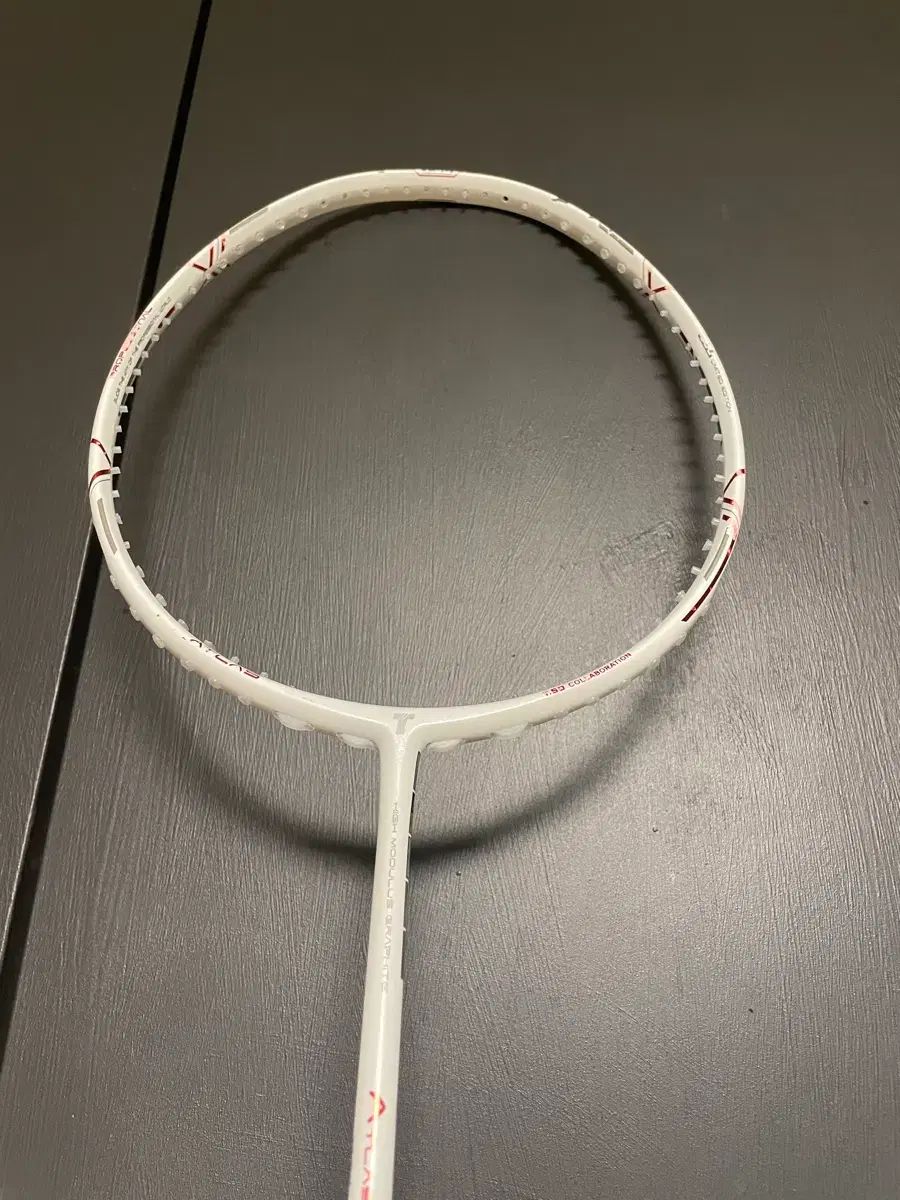 トライオン バドミントン ラケット