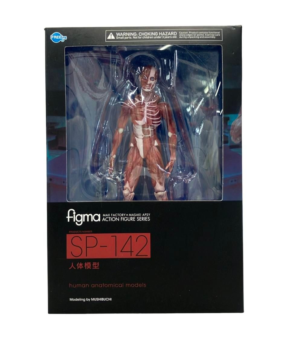 【新品未開封】figma SP-142 人体模型 美品 グッドスマイルカンパニー 人体模型 figma SP-142 フィギュア