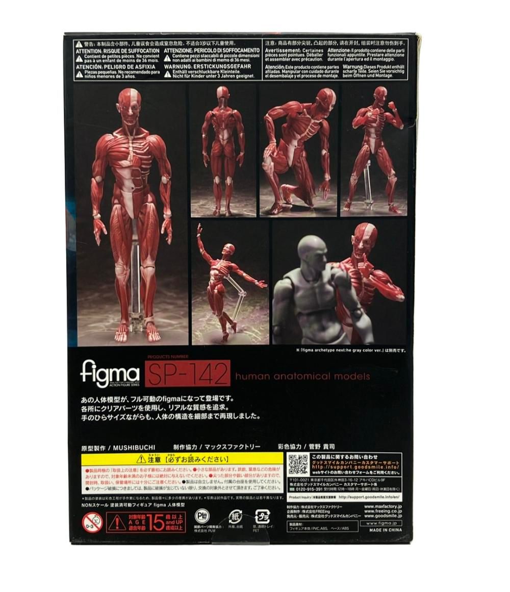 美品 グッドスマイルカンパニー 人体模型 figma SP-142 フィギュア