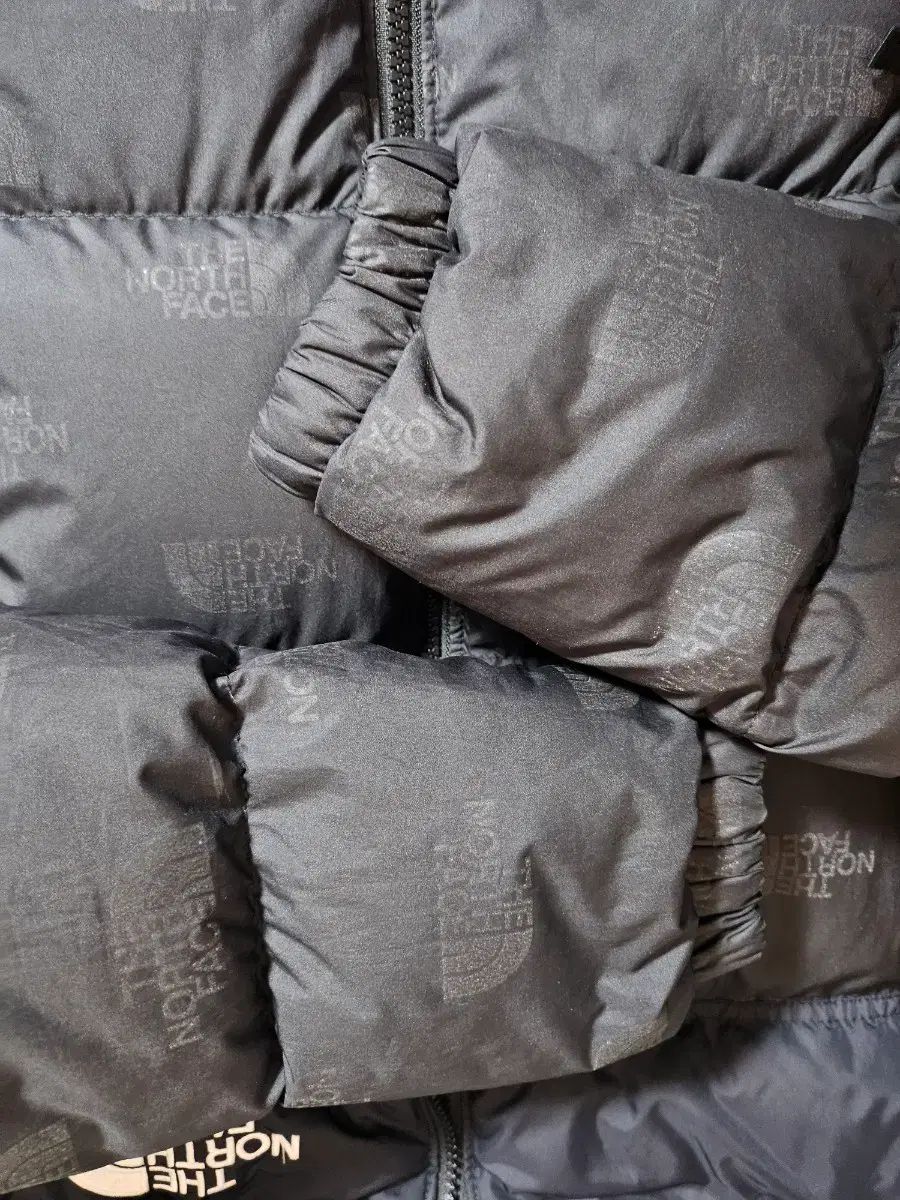  キッズTHE NORTH FACE 1996 エコ ヌプシ ブラック L 150 12歳 その他 ジャケット ブルゾン