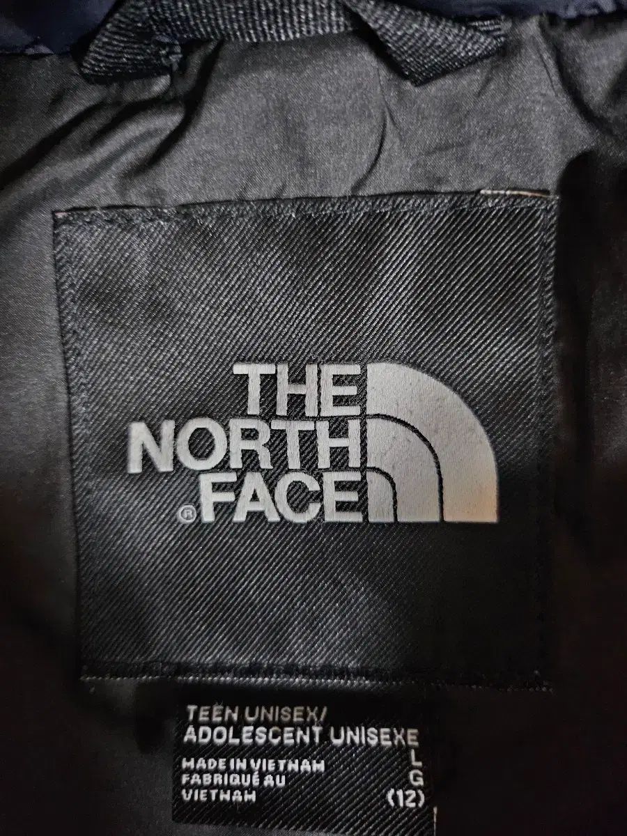 キッズTHE NORTH FACE 1996 エコ ヌプシ ブラック L 150 12歳