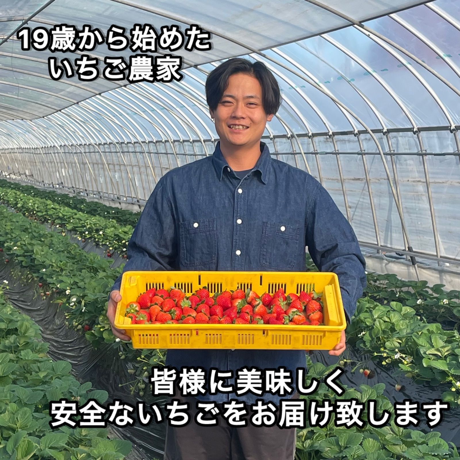 朝採れ減農薬いちご とちあいか 3箱 - メルカリ