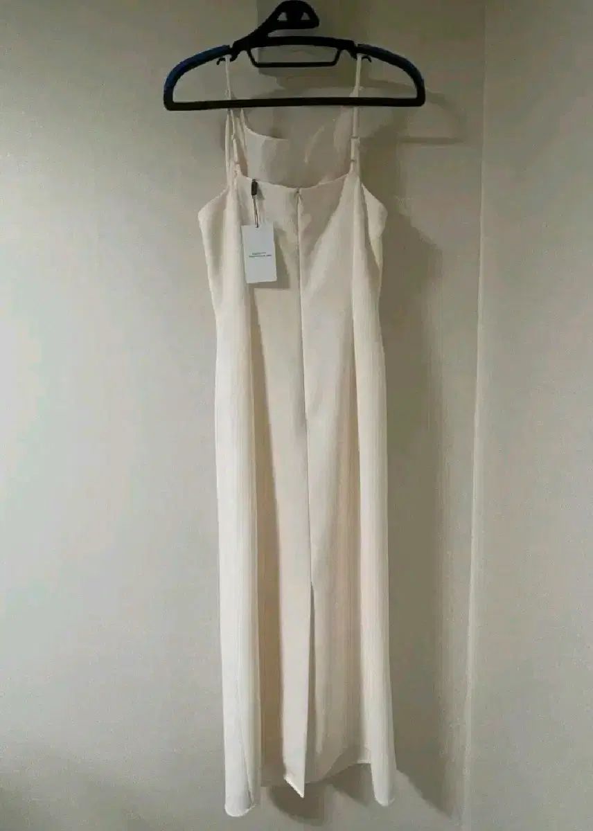 キンダーサルモン