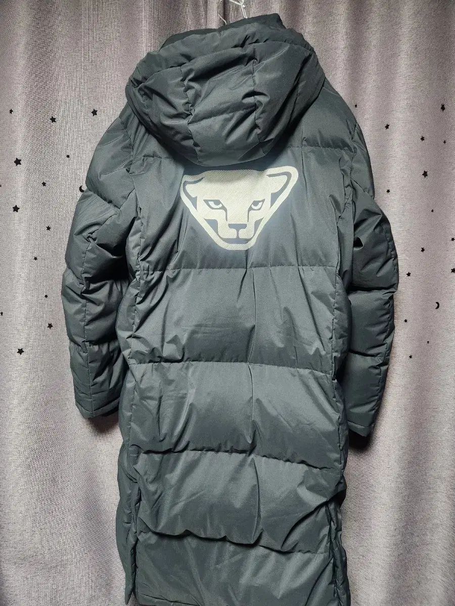 ディナフィット メンズ ダウンジャケット ロング丈 XL