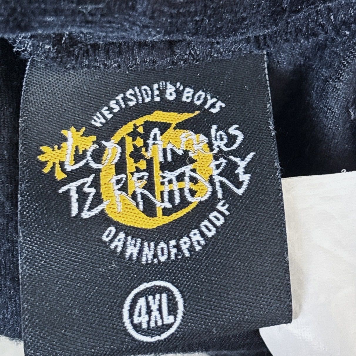 LOS ANGELES TERRITORY ロサンゼルステリトリー ベロア ジャージ