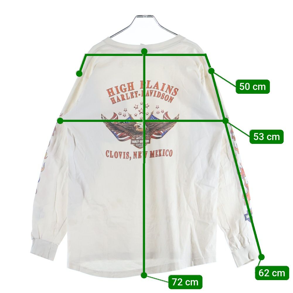 HARLEY DAVIDSON (ハーレーダビッドソン) 00s 胸ポケット 袖フレイム