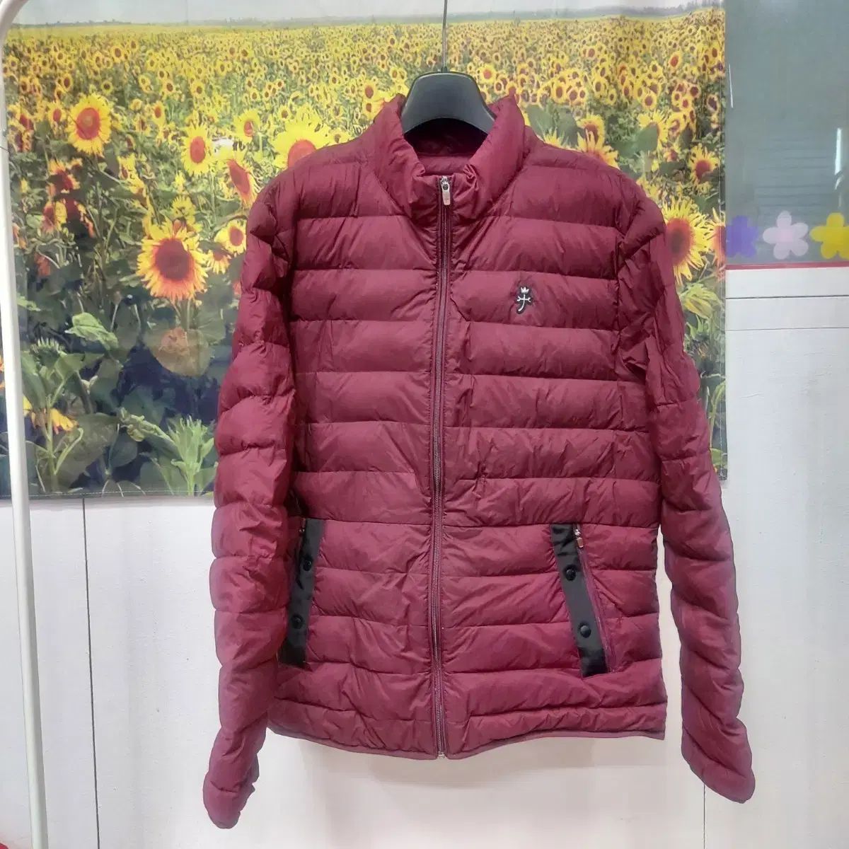 CASTELBAJAC カステルバジャック 軽量 グースダウン メンズ110サイズ 5L17