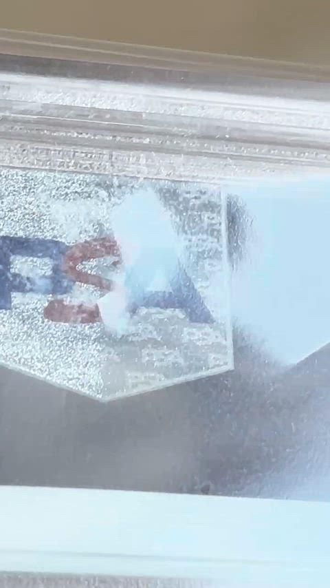  난천の意地 239 172 SAR PSA 10 一般版 その他 パズル ボードゲーム