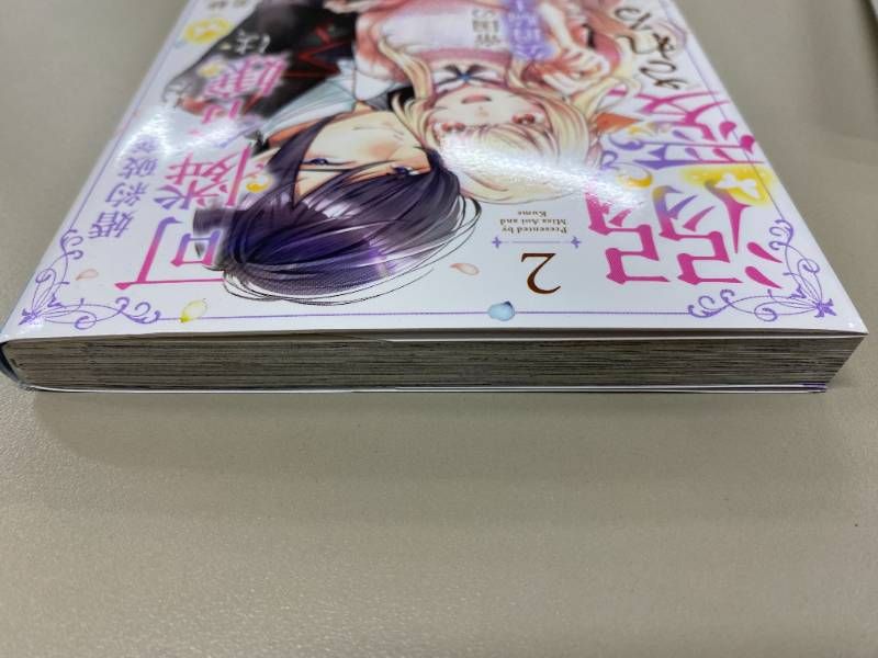 婚約破棄された可憐令嬢は、帝国の公爵騎士様に溺愛される 2 - メルカリ