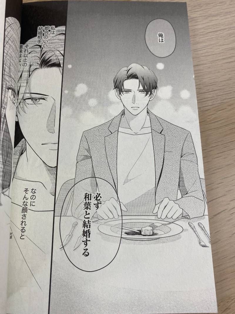 愛したいのは、お前だけ～天才外科医の甘い策略～【財閥御曹司シリーズ