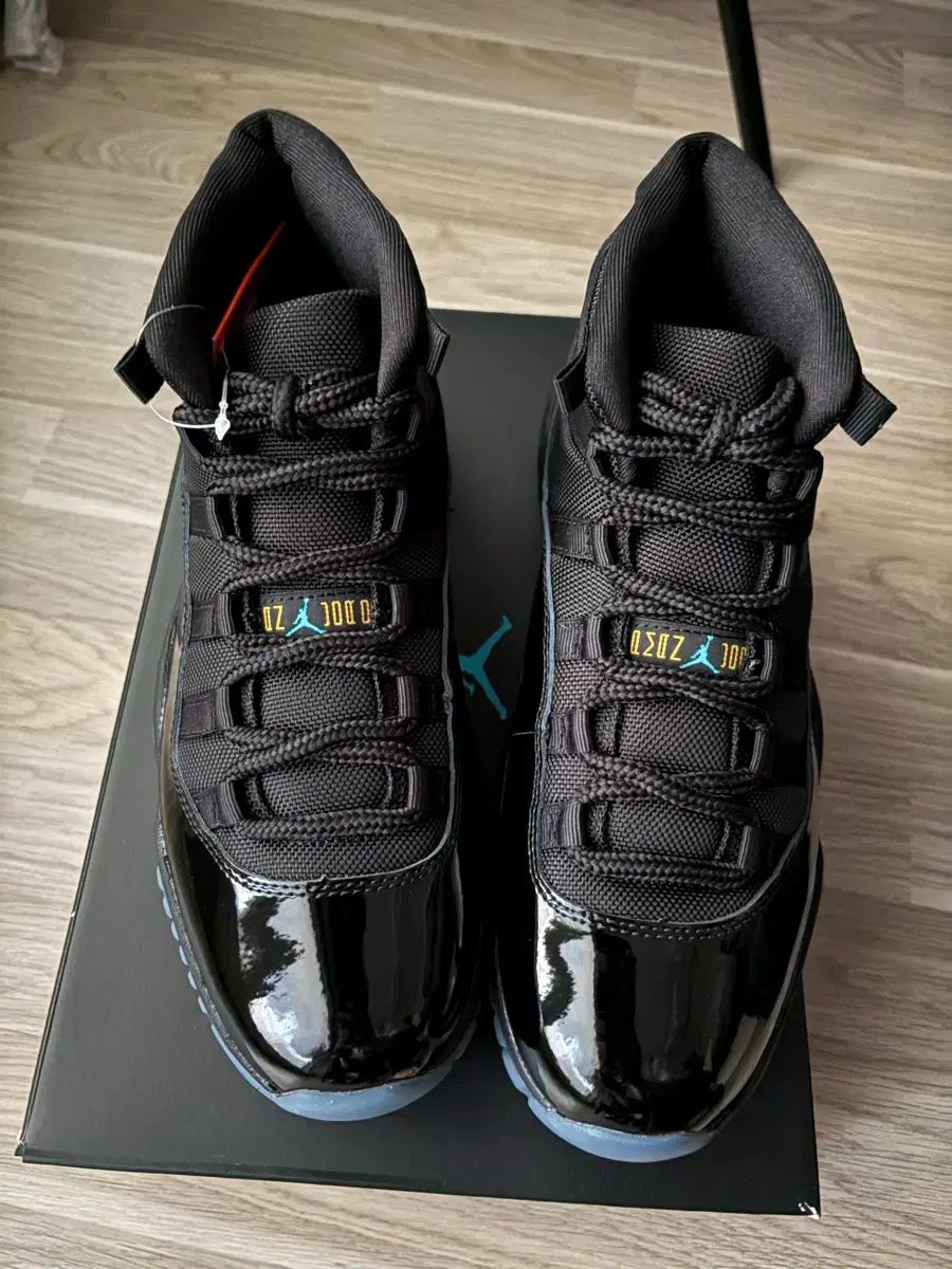 エアジョーダン 11 ガンマブルー 265