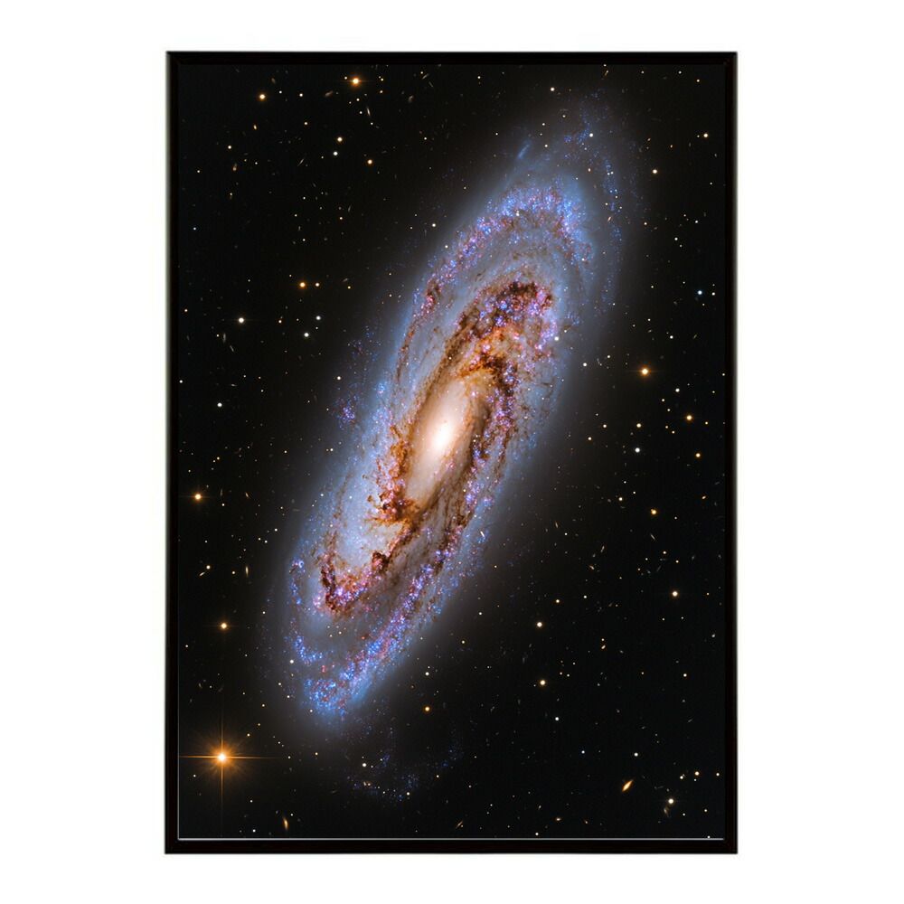 A1サイズ（約59x84cm）】【lm-poster-378】【フレーム付き】宇宙