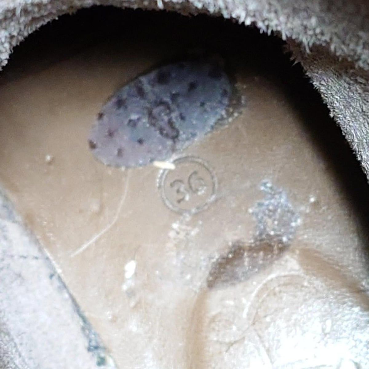  koos コース ブーツ 36 レディース - ダークブラウン レザー その他 ブーツ