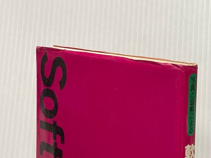 写真と図解による 軟式テニス 山口 晃