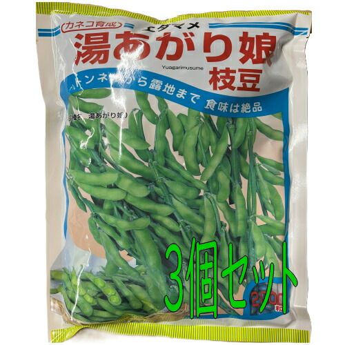 【2026年度産】カネコ種苗 枝豆 エダマメ 湯あがり娘 2000粒 種子 3個セット