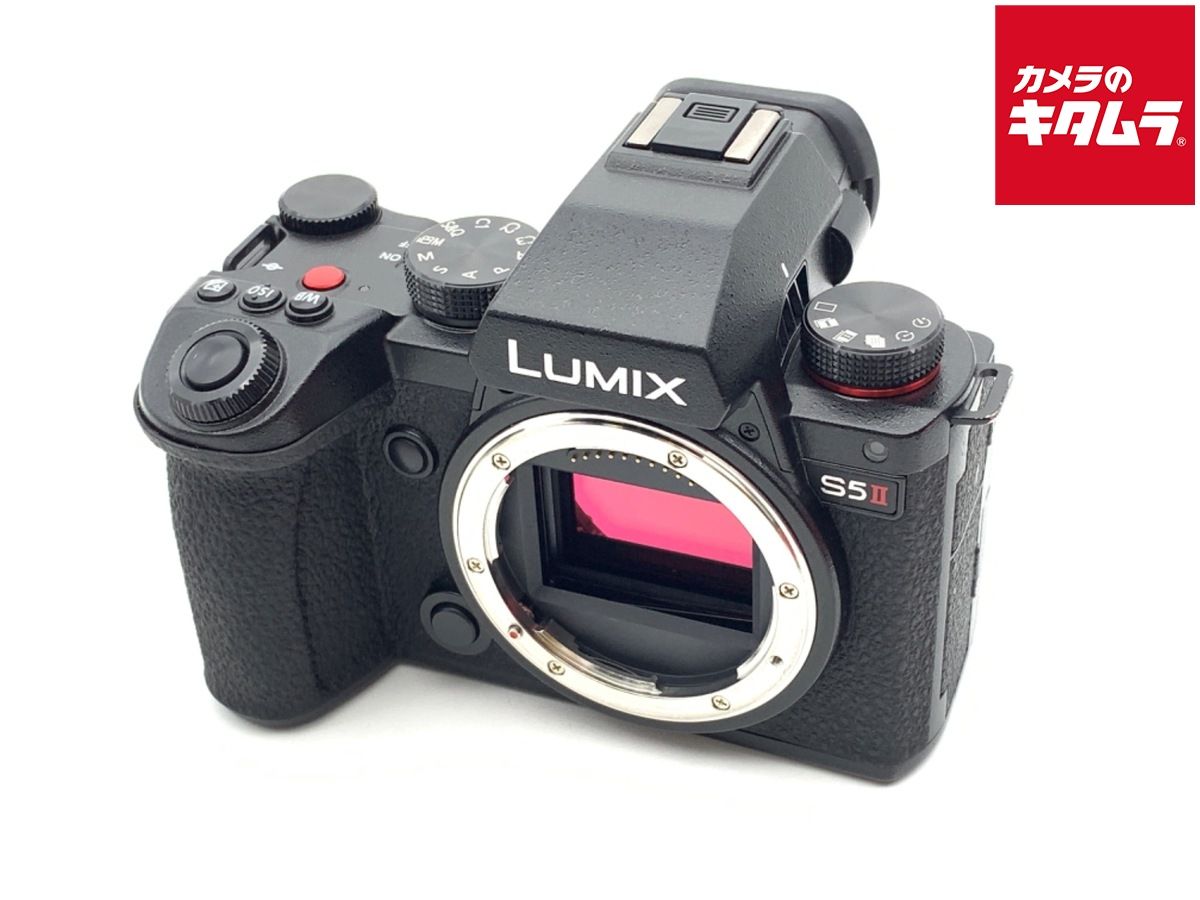 並品 パナソニック LUMIX DC S 5 M 2 ボディ