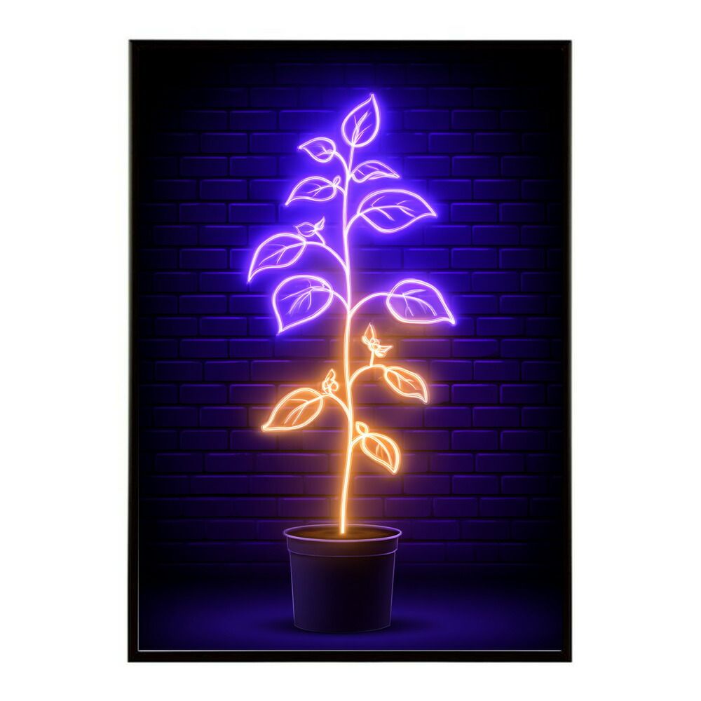 スペイン直輸入☆フラメンコ生地W幅5M ナランハ