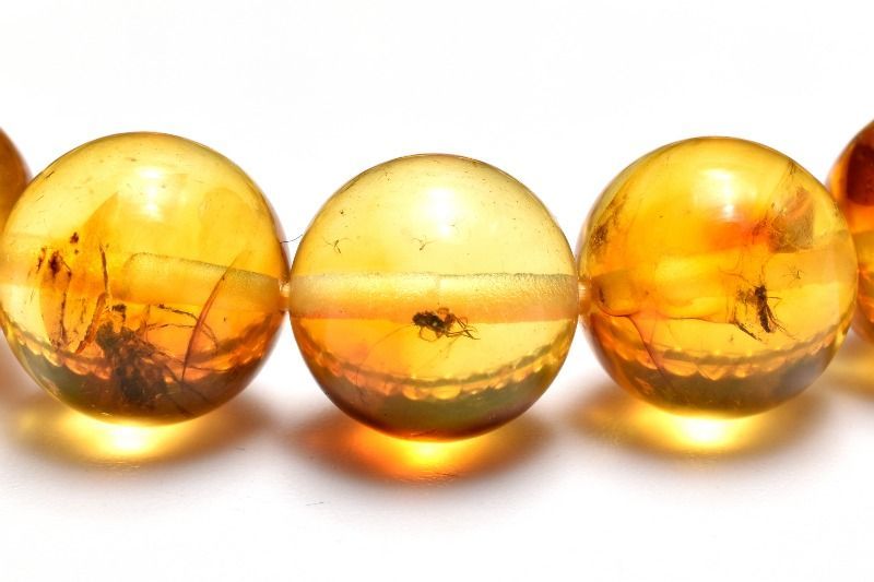 １点物 全粒内包 入荷 虫入り琥珀アンバー 9.5 mm ブレスレット パワーストーン 天然石 _MC 2840