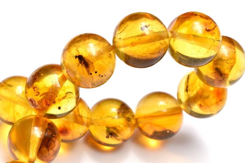 虫入り琥珀アンバー 9
