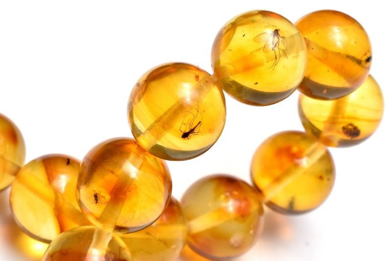  １点物 全粒内包 入荷 虫入り琥珀アンバー 9.5 mm ブレスレット パワーストーン 天然石 _MC 2841 ブレスレット バングル アクセサリー