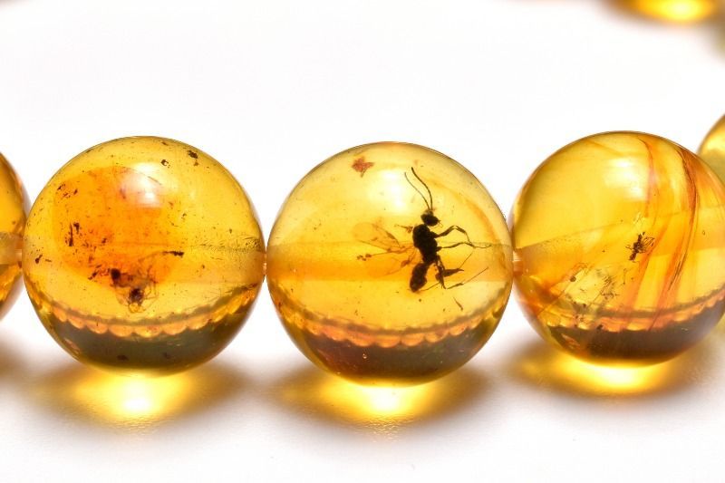 １点物 全粒内包 入荷 虫入り琥珀アンバー 9 5 mm ブレスレット パワーストーン 天然石 _MC 2841