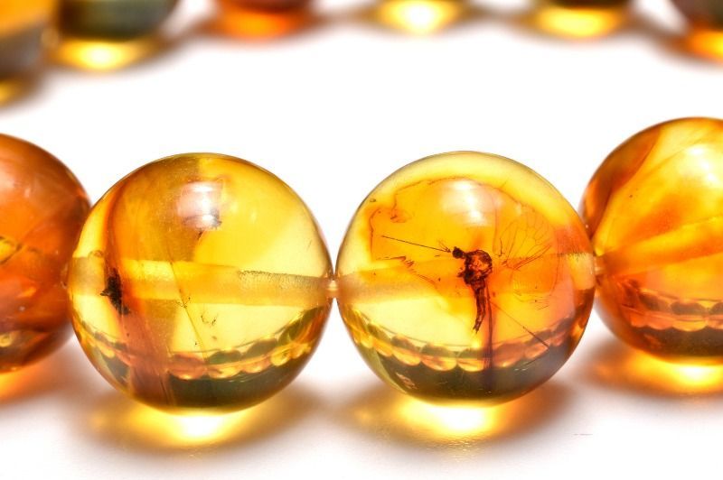 １点物 全粒内包 入荷 虫入り琥珀アンバー 11 5 mm ブレスレット パワーストーン 天然石 _MC 2844