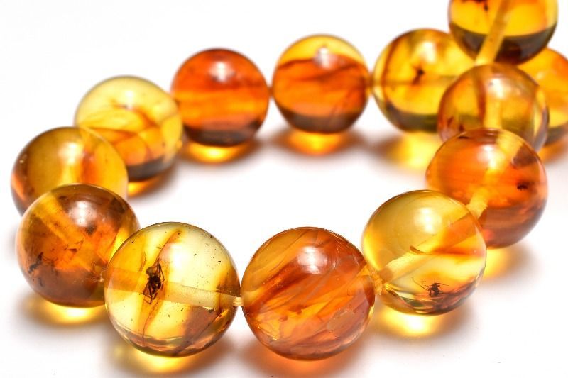 １点物 全粒内包 入荷 虫入り琥珀アンバー 11.5 mm ブレスレット パワーストーン 天然石 _MC 2844