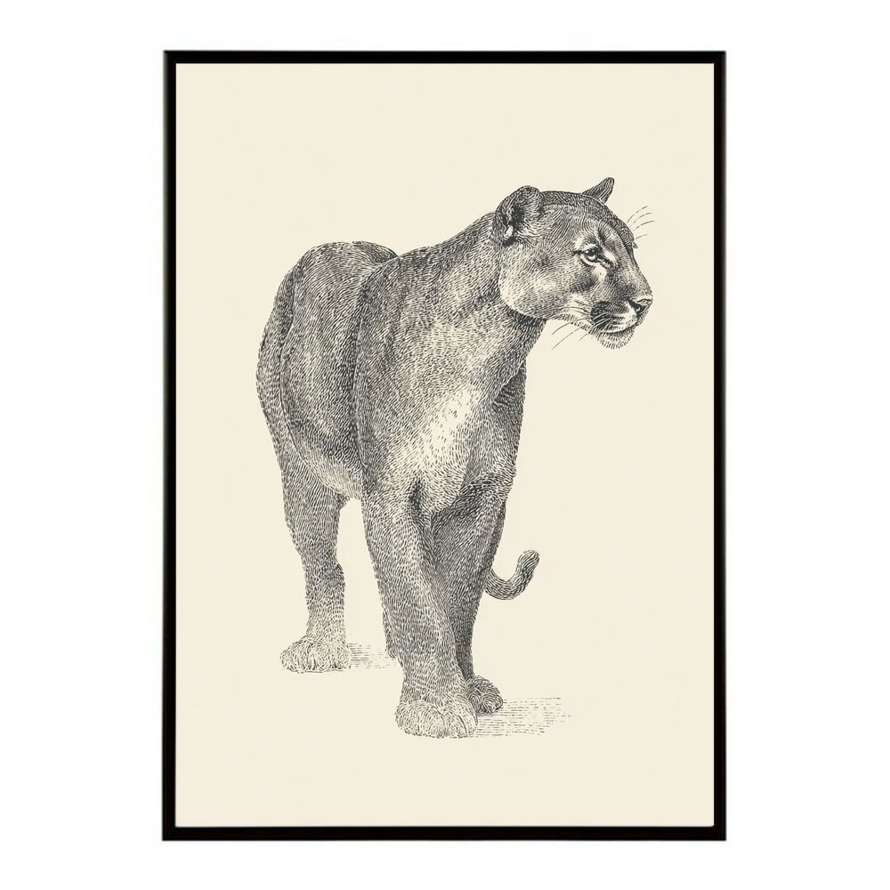 A0サイズ（約84x119cm）】【lm-poster-4956】【フレーム付き】アート